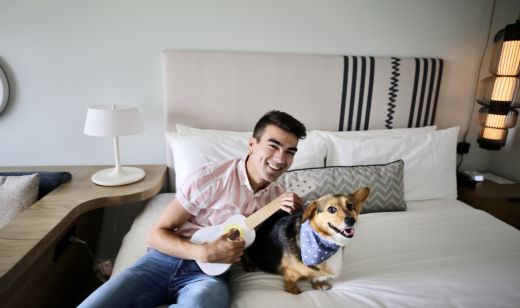 Dog Friendly Hotel near me