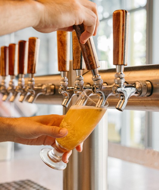 The Surfing Fox bar cocktails and tap beer