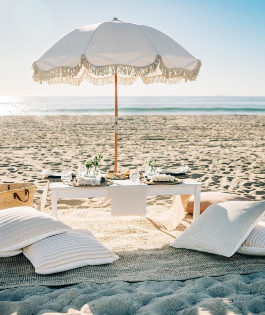 Santa Monica Picnic Co.